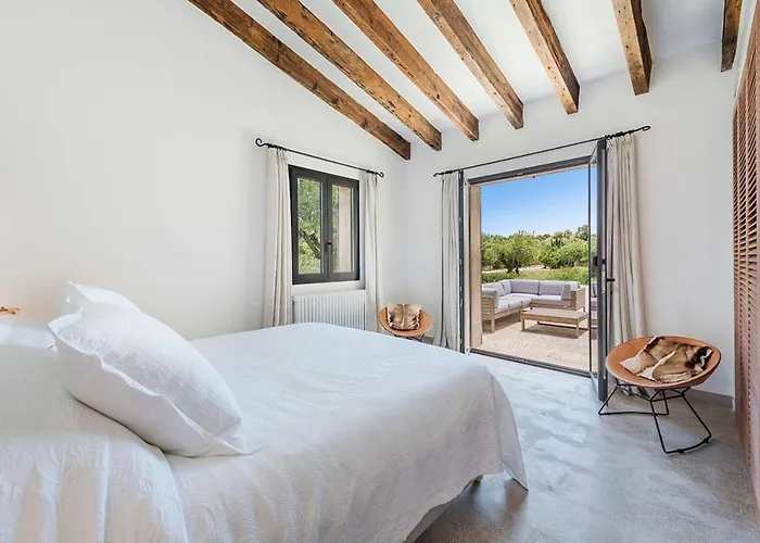 Pelut Польєнса