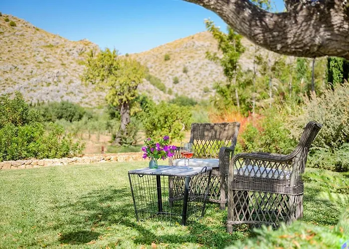 Pelut Польєнса