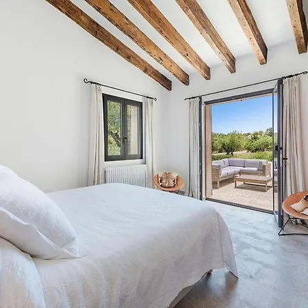 Pelut Польенса