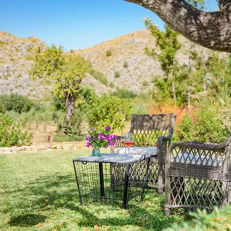 Pelut Польенса