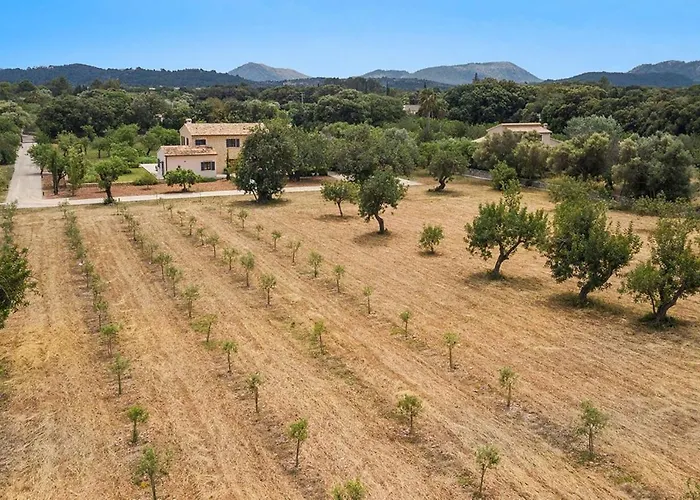 Pelut Villa Pollença